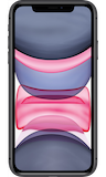 Test online on iPhone 11