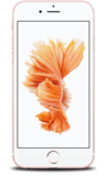 Test online on iPhone 6s